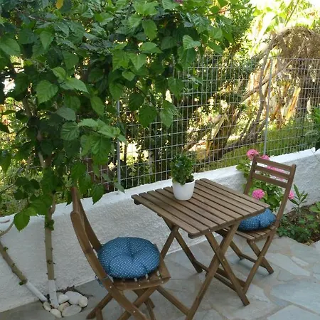 Hibiscus House Apartment